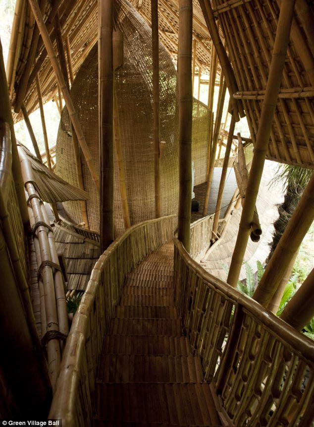 Bamboo has also been used to create study bridges connecting the village and crossing the Ayung River